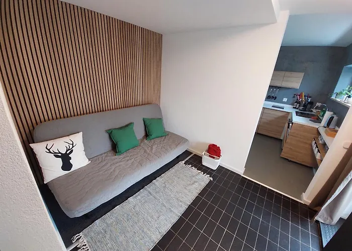 Fuer 2-4personen Nahe Grindelwald, Jungfrau Skigebiet In 20minuten Mit Dem Erreichbar Apartmán Wilderswil