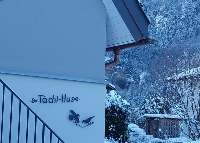 Fuer 2-4personen Nahe Grindelwald, Jungfrau Skigebiet In 20minuten Mit Dem Erreichbar Apartmán Wilderswil