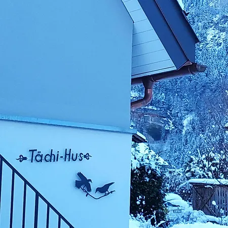 Apartment Fuer 2-4personen Nahe Grindelwald, Jungfrau Skigebiet In 20minuten Mit Dem Erreichbar